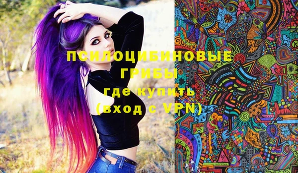 трава Пересвет