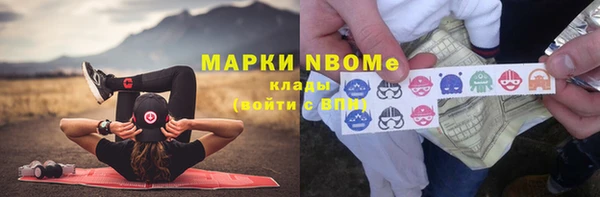 трава Пересвет