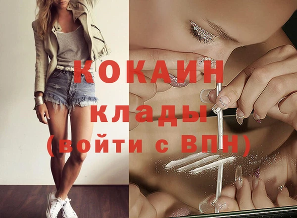 трава Пересвет