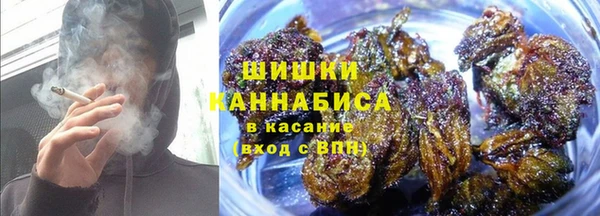 2c-b Пестово