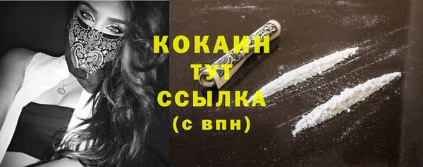 2c-b Пестово