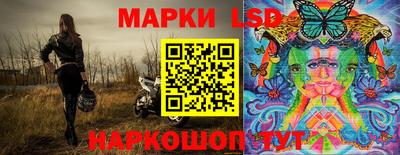 Альфа ПВП Ставрополь