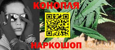 Альфа ПВП Ставрополь