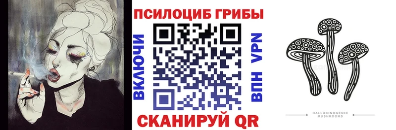 Псилоцибиновые грибы Psilocybine cubensis  Сибай 