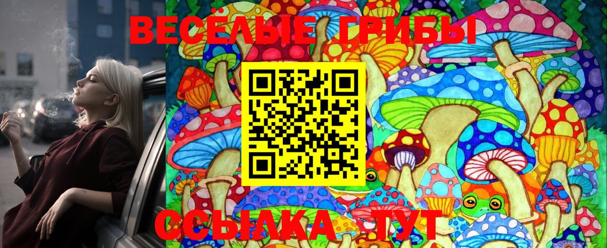 Сибай  Псилоцибиновые грибы Magic Shrooms  Вход с VPN  Псилоцибиновые грибы прущие грибы 